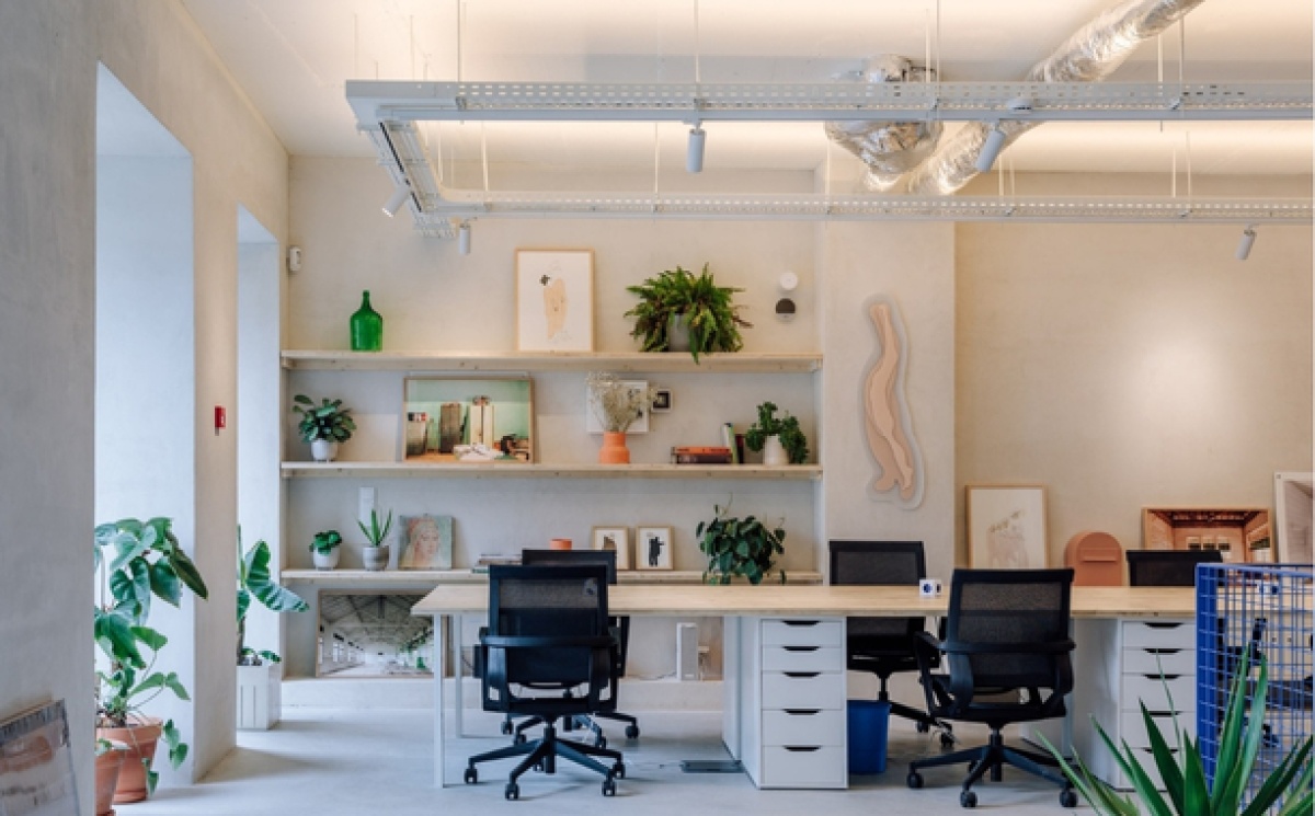 Jiboia Studio 